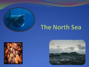 The North Sea Geography The North Sea shelf