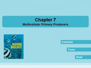 Chapter 7 Multicellular Primary Producers Karleskint Turner Small