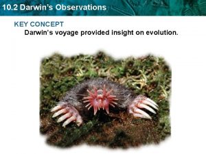 10 2 Darwins Observations KEY CONCEPT Darwins voyage