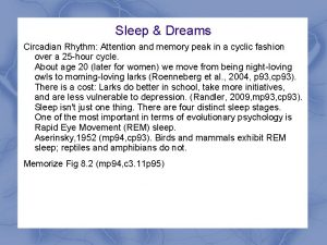 Sleep Dreams Circadian Rhythm Attention and memory peak