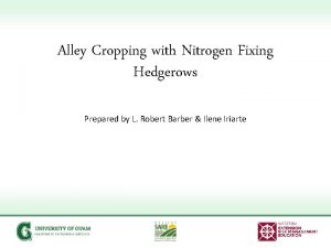 Alley Cropping with Nitrogen Fixing Hedgerows Prepared by