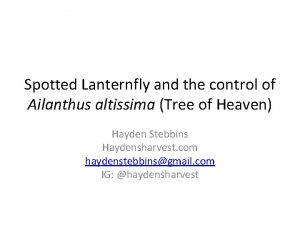 Spotted Lanternfly and the control of Ailanthus altissima