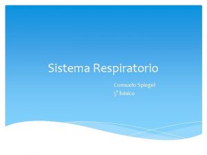 Sistema Respiratorio Consuelo Spiegel 5 bsico SISTEMA RESPIRATORIO