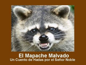 El Mapache Malvado Un Cuento de Hadas por