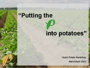 Putting the into potatoes Hydro Potato Workshop MarchApril
