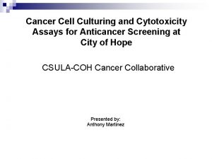 Cancer Cell Culturing and Cytotoxicity Assays for Anticancer