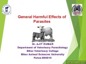 General Harmful Effects of Parasites Dr AJIT KUMAR