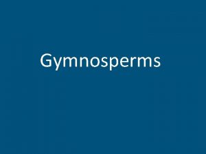 Gymnosperms Gymnosperm Gymnosperm means naked seed needs the