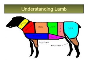Understanding Lamb The Definition of Lamb Meat of