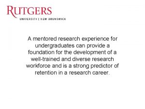 A mentored research experience for undergraduates can provide