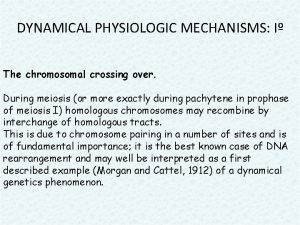 DYNAMICAL PHYSIOLOGIC MECHANISMS I The chromosomal crossing over