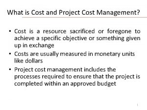 What is Cost and Project Cost Management Cost