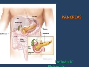 PANCREAS Dr Indu K PANCREAS Functional anatomy Elongated