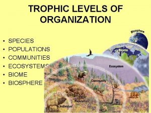 TROPHIC LEVELS OF ORGANIZATION SPECIES POPULATIONS COMMUNITIES ECOSYSTEMS