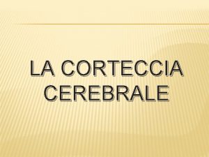 LA CORTECCIA CEREBRALE LA CORTECCIA CEREBRALE La corteccia