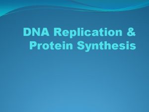 DNA Replication Protein Synthesis DNA Deoxyribonucleic Acid DNA