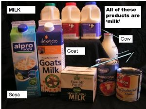 All of these products are milk MILK Cow