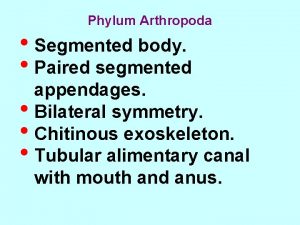 Phylum Arthropoda Segmented body Paired segmented appendages Bilateral