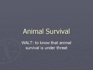 Animal Survival WALT to know that animal survival