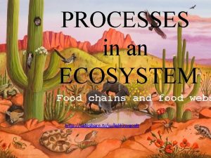 PROCESSES in an ECOSYSTEM Processes in an Ecosystem