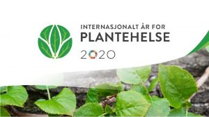 PLANTEHELSE SOM GLOBALT TEMA I desember 2018 utpekte