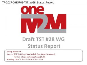 TP2017 0085 R 01 TSTWG 6StatusReport Draft TST