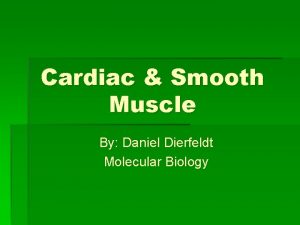 Cardiac Smooth Muscle By Daniel Dierfeldt Molecular Biology