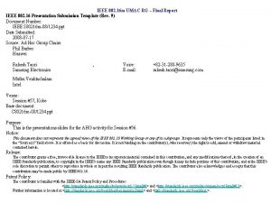 IEEE 802 16 m UMAC RG Final Report