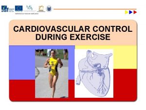 CARDIOVASCULAR CONTROL DURING EXERCISE Major Cardiovascular Functions w