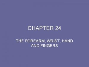 CHAPTER 24 THE FOREARM WRIST HAND FINGERS BONES