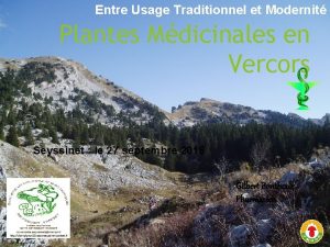 Entre Usage Traditionnel et Modernit Plantes Mdicinales en