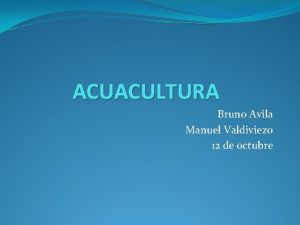 ACUACULTURA Bruno Avila Manuel Valdiviezo 12 de octubre