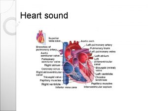 Heart sound What we hear We have all