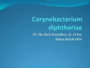 Corynebacterium diphtheriae Dr Eko Budi Koendhori dr M