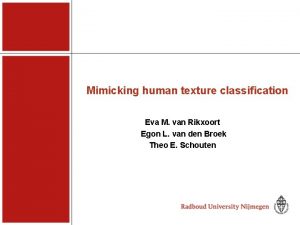 Mimicking human texture classification Eva M van Rikxoort