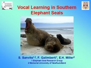 Vocal Learning in Southern Elephant Seals S Sanvito