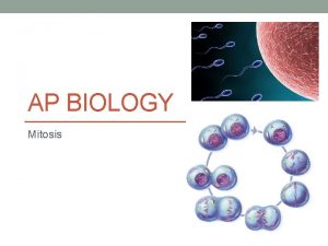 AP BIOLOGY Mitosis Mitosis vs Meiosis Mitosis Cell