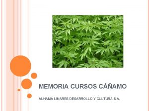 MEMORIA CURSOS CAMO ALHAMA LINARES DESARROLLO Y CULTURA