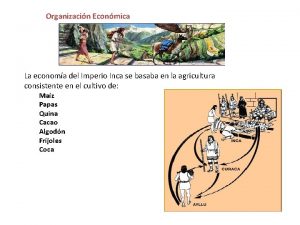 Organizacin Econmica La economa del Imperio Inca se