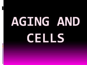 AGING AND CELLS Cancer Results from uncontrolled cellular