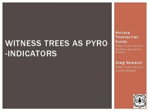WITNESS TREES AS PYRO INDICATORS Melissa ThomasVan Gundy