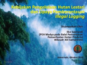 Kebijakan Pengelolaan Hutan Lestari dan Upaya Pemberantasan Illegal