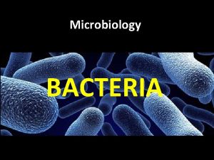 Microbiology BACTERIA I Eukaryote vs Prokaryote I Eukaryote