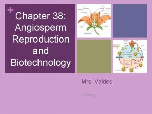 Chapter 38 Angiosperm Reproduction and Biotechnology Mrs Valdes