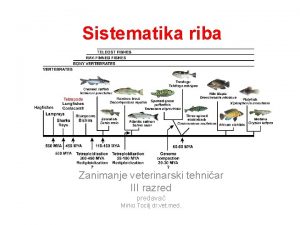 Sistematika riba Zanimanje veterinarski tehniar III razred predava