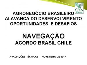 AGRONEGCIO BRASILEIRO ALAVANCA DO DESENVOLVIMENTO OPORTUNIDADES E DESAFIOS
