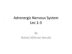 Adrenergic Nervous System Lec 1 3 By Nohad