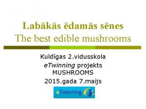 Labks dams snes The best edible mushrooms Kuldgas
