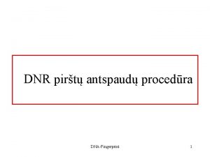 DNR pirt antspaud procedra DNAFingerprint 1 Mgintuvliai kiekvienai