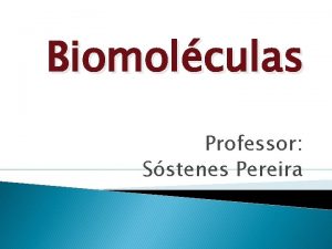 Biomolculas Professor Sstenes Pereira Biomolculas Estruturas e Funes